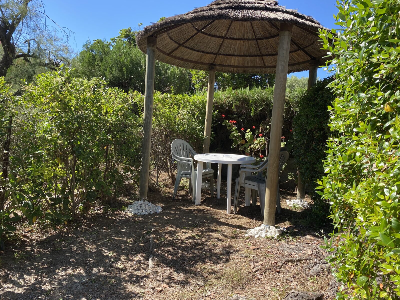 Gazebo dans le jardin